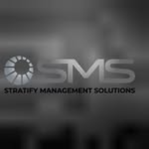 SMMSEO SOLUTIONS